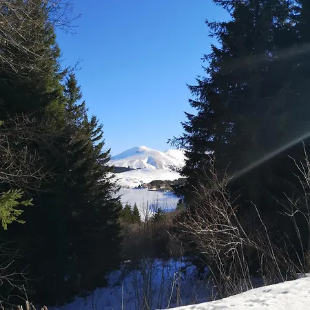 Le Nid De La Monne *